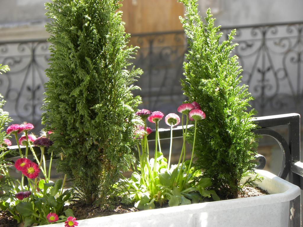 Prince Machabeli Apartments Tiflis Dış mekan fotoğraf